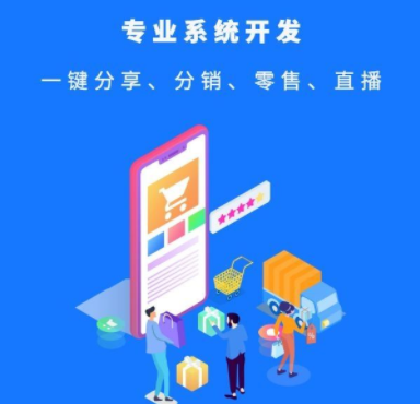 分銷系統(tǒng)開發(fā)的過程有哪些？